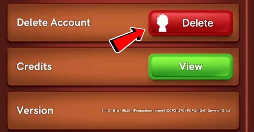 Account Delete Carrom Pool